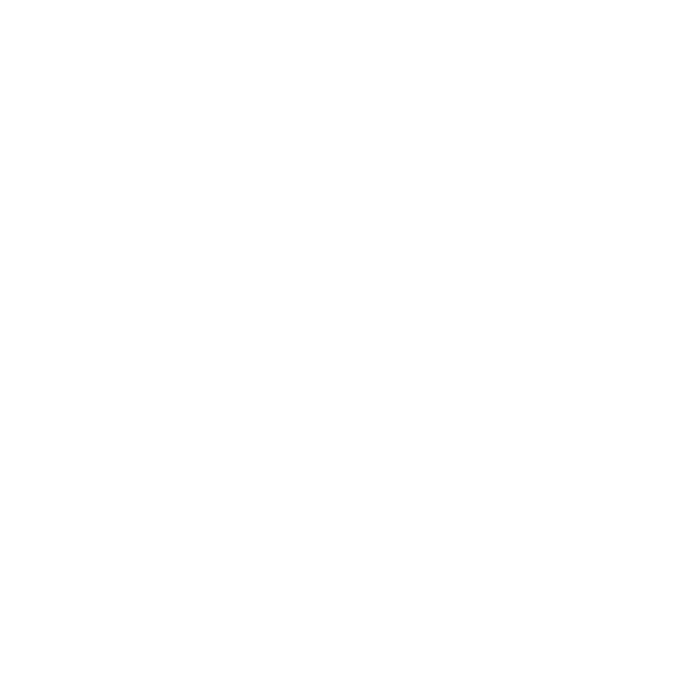 Palangi Productions